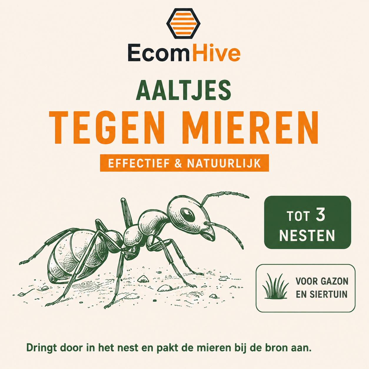 Aaltjes tegen mieren